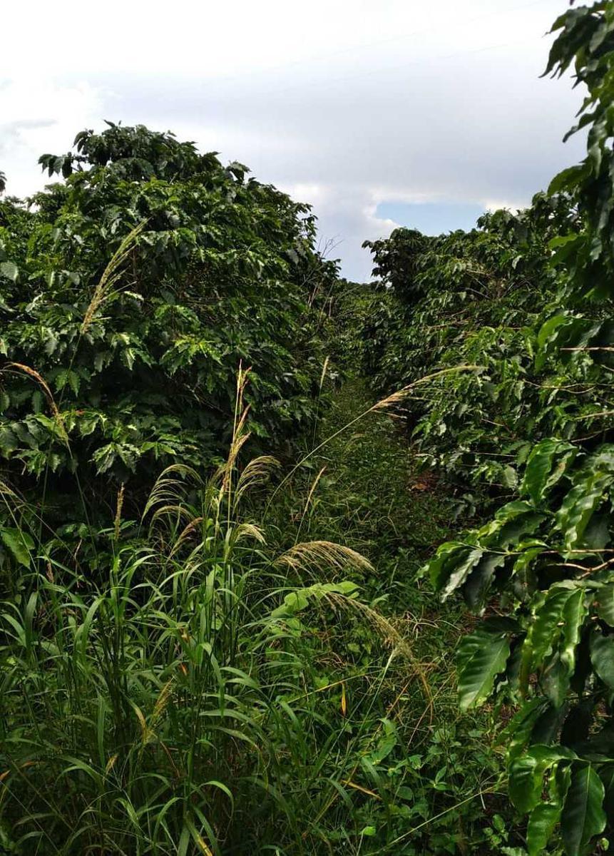 Fazenda, Zona Rural, 1 Quarto, 0 Vaga