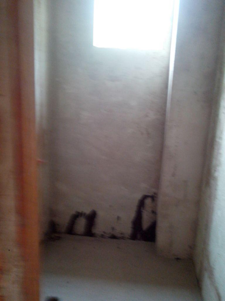 Casa, Etelvina Carneiro, 3 Quartos, 5 Vagas