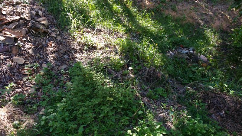 Lote, Alvorada, 0 Quarto, 0 Vaga