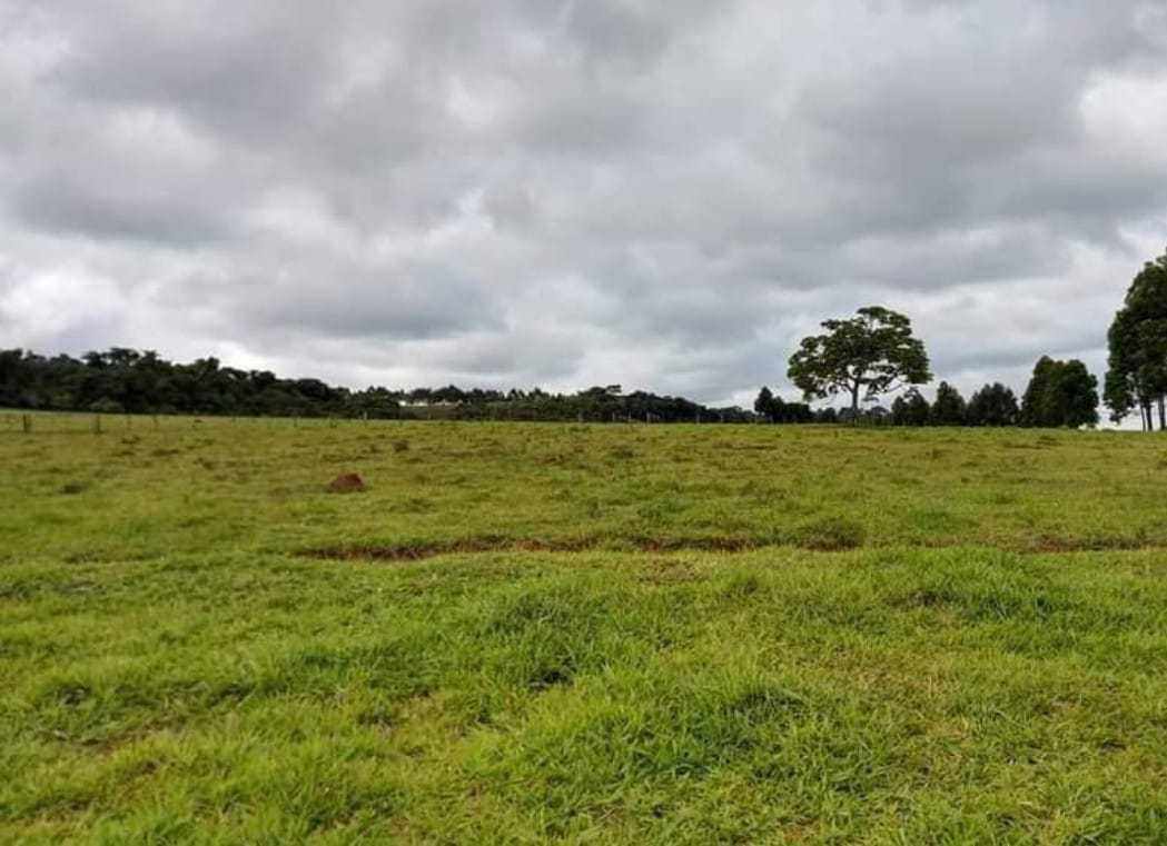 Fazenda, Zona Rural, 1 Quarto, 0 Vaga