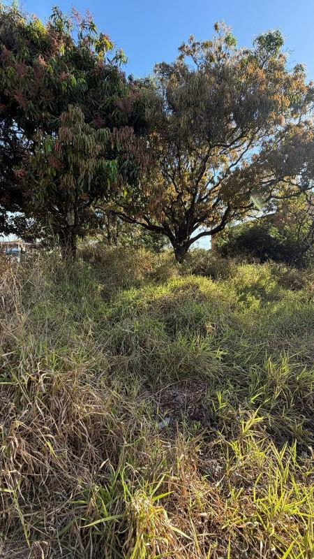 Lote, Centro, 0 Quarto, 0 Vaga