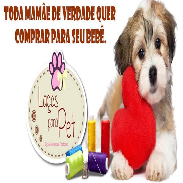 Curso Laço Para Pet