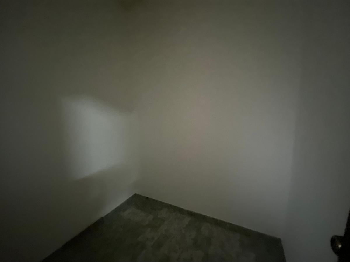 Apartamento, Palmares, 3 Quartos, 1 Vaga, 1 Suíte