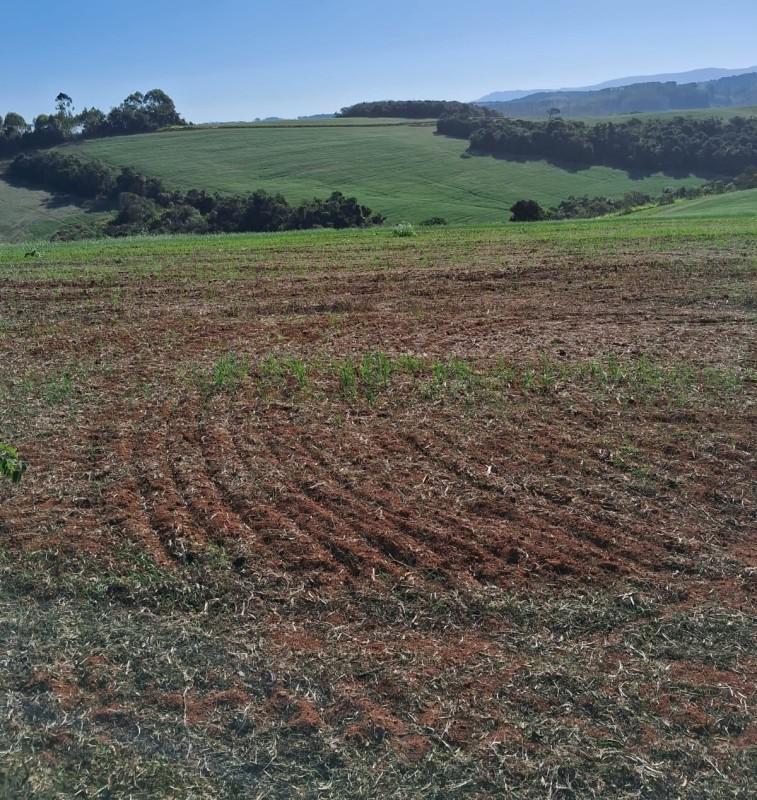 Fazenda, Zona Rural, 0 Quarto, 0 Vaga
