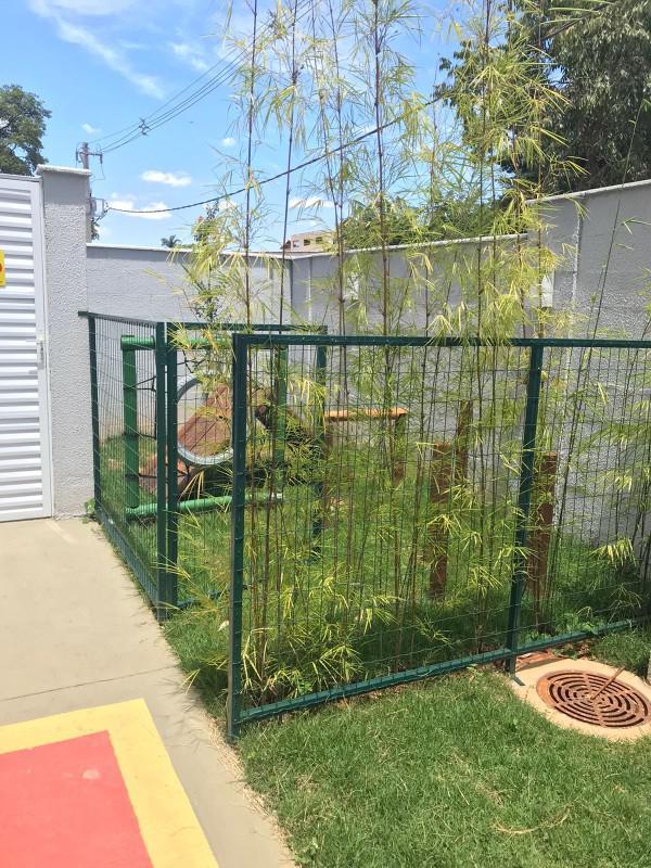 Apartamento, Bom Jesus, 2 Quartos, 1 Vaga