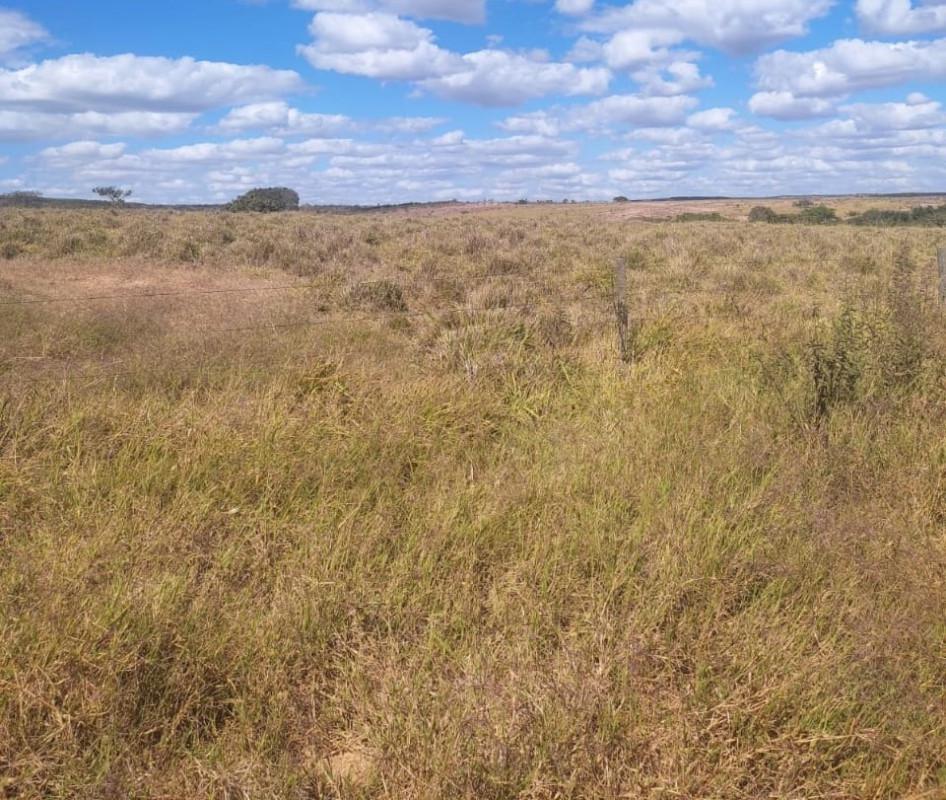 Fazenda, Zona Rural, 0 Quarto, 0 Vaga