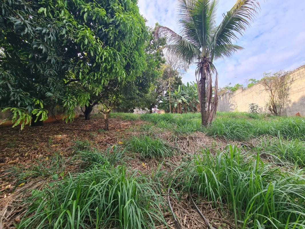 Lote, Jardim Atlântico, 0 Quarto, 0 Vaga