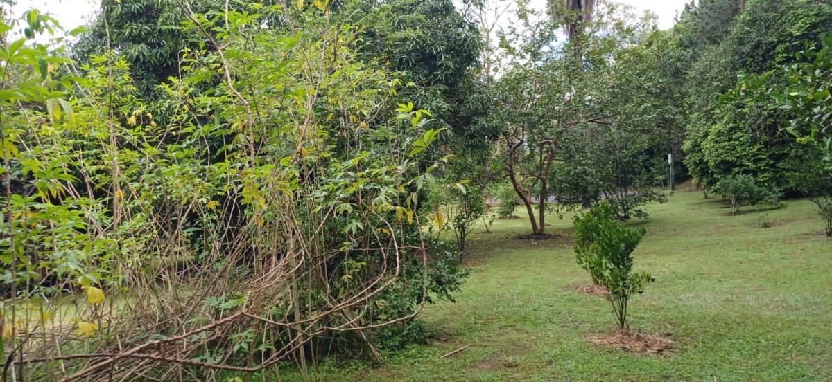 Fazenda, Bambus, 3 Quartos, 10 Vagas