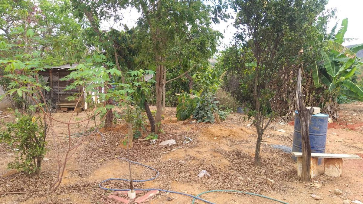 Lote, Palmital, 0 Quarto, 0 Vaga