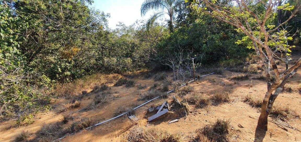 Lote, Zona Rural, 0 Quarto, 0 Vaga