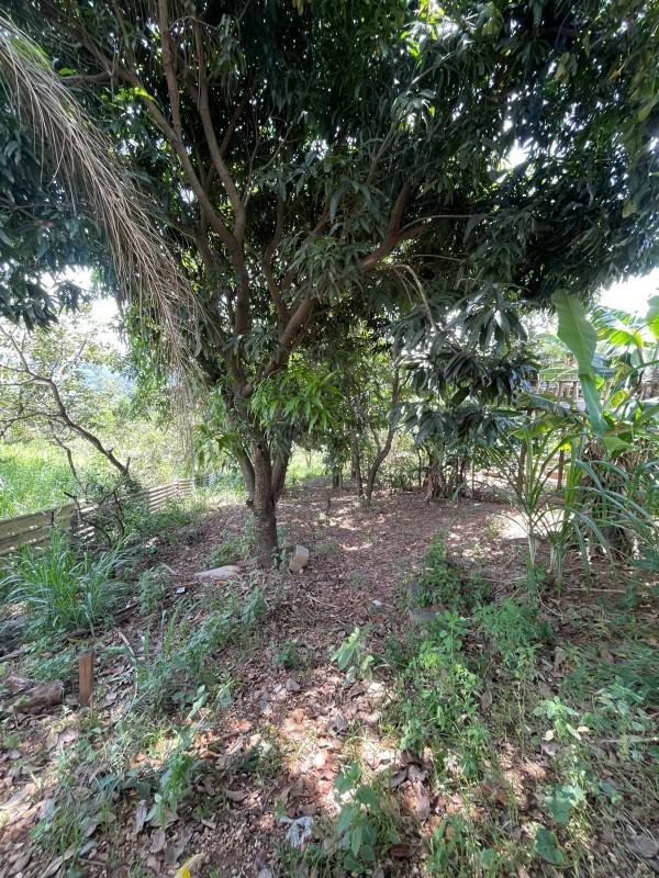 Fazenda, Bom Jardim, 2 Quartos, 2 Vagas, 1 Suíte