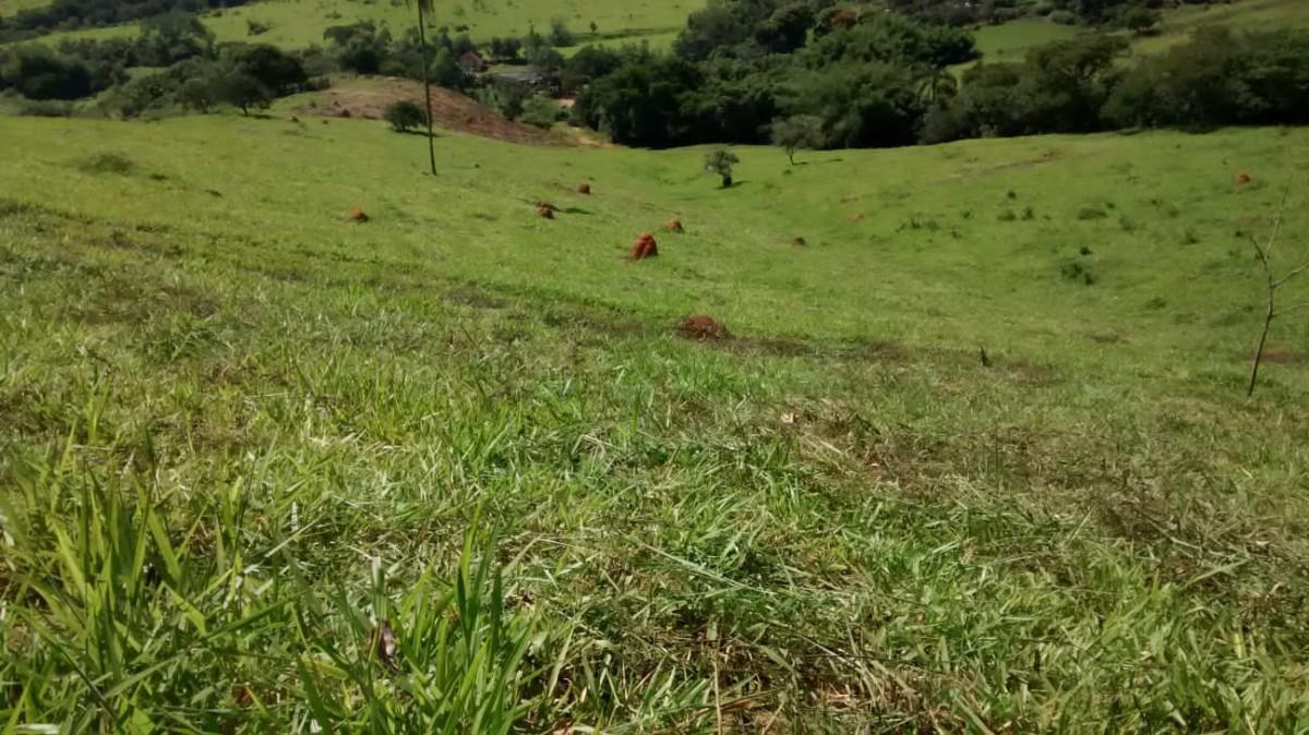 Fazenda, Zona Rural, 0 Quarto, 0 Vaga