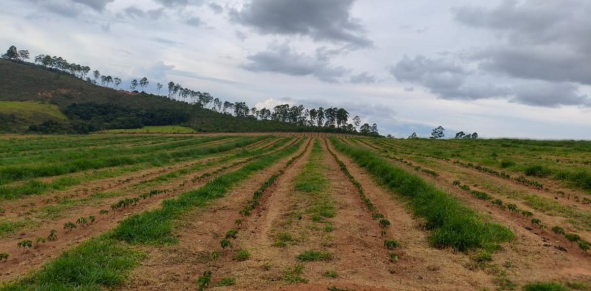 Fazenda, Zona Rural, 0 Quarto, 0 Vaga