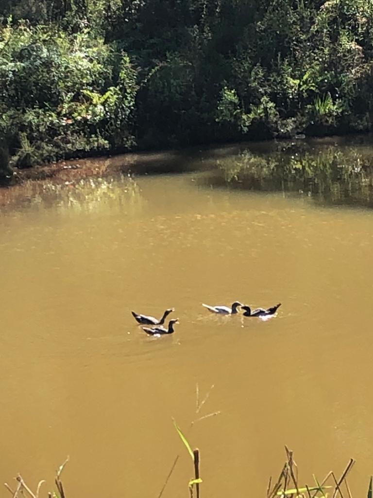 Fazenda, Centro, 3 Quartos, 10 Vagas, 1 Suíte