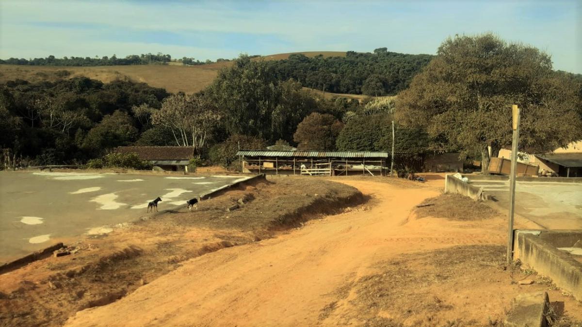 Fazenda, Centro, 1 Quarto, 1 Vaga, 1 Suíte