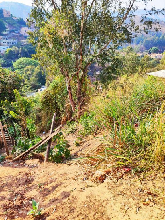 Lote, Nossa Senhora de Fátima, 0 Quarto, 0 Vaga