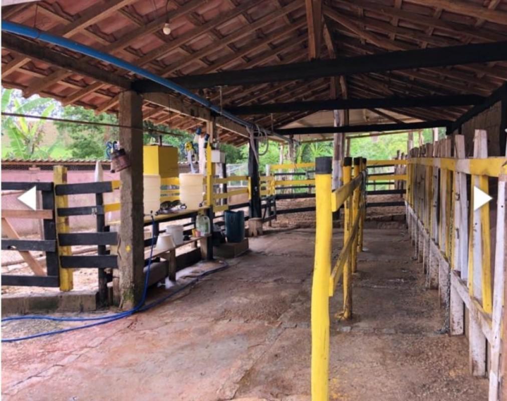 Fazenda, Centro, 6 Quartos, 3 Vagas