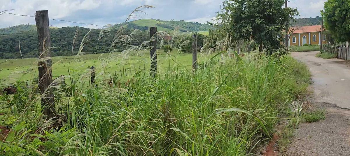 Lote, Zona Rural, 1 Quarto, 0 Vaga