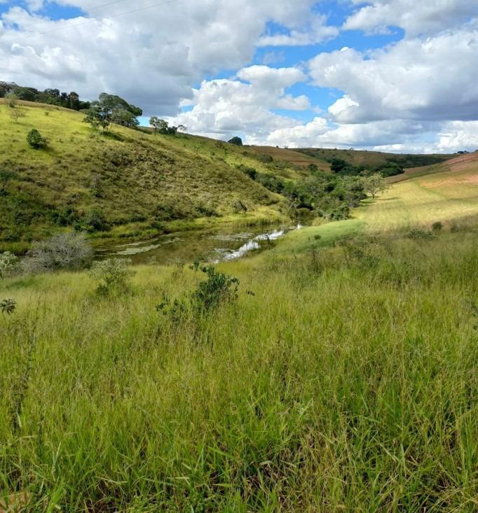 Fazenda, Centro, 3 Quartos, 0 Vaga