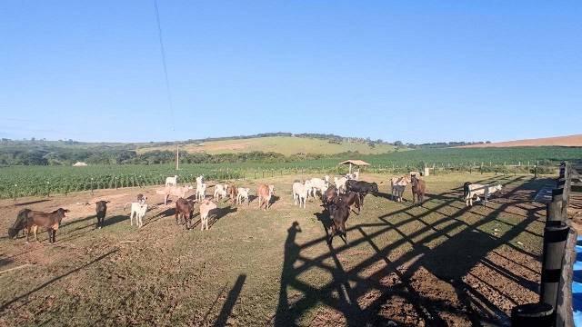 Fazenda, Centro, 5 Quartos, 2 Vagas