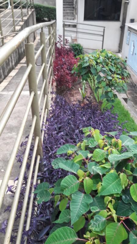 Apartamento, Jardim Riacho das Pedras, 2 Quartos, 1 Vaga