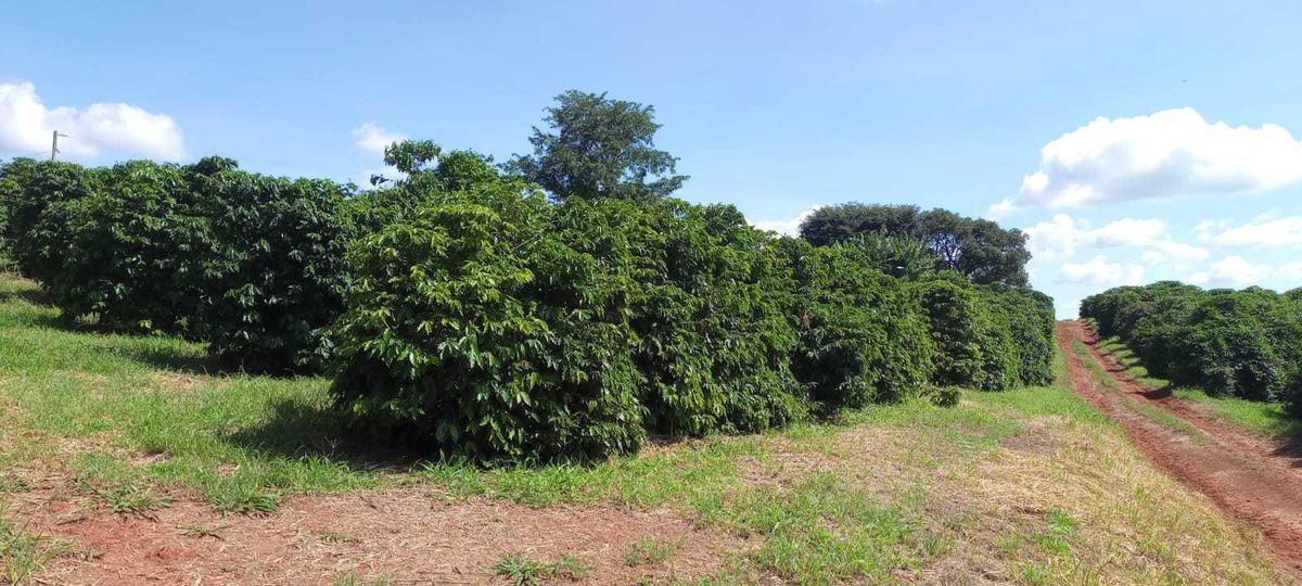 Fazenda, Zona Rural, 3 Quartos, 0 Vaga