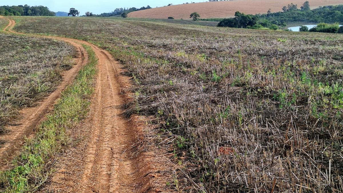 Fazenda, Zona Rural, 0 Quarto, 0 Vaga