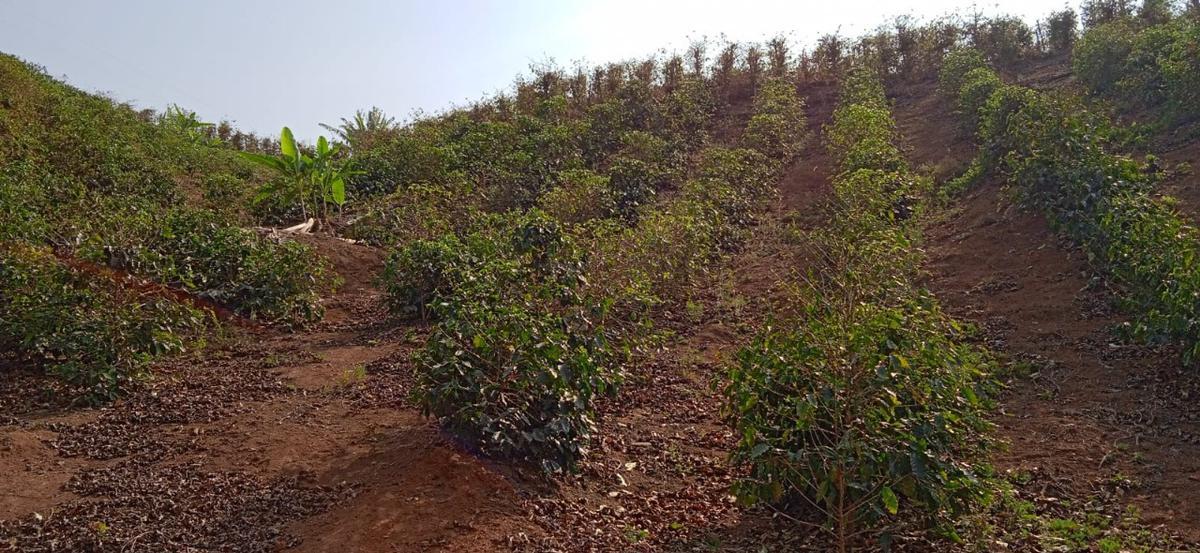 Fazenda, Zona Rural, 0 Quarto, 0 Vaga