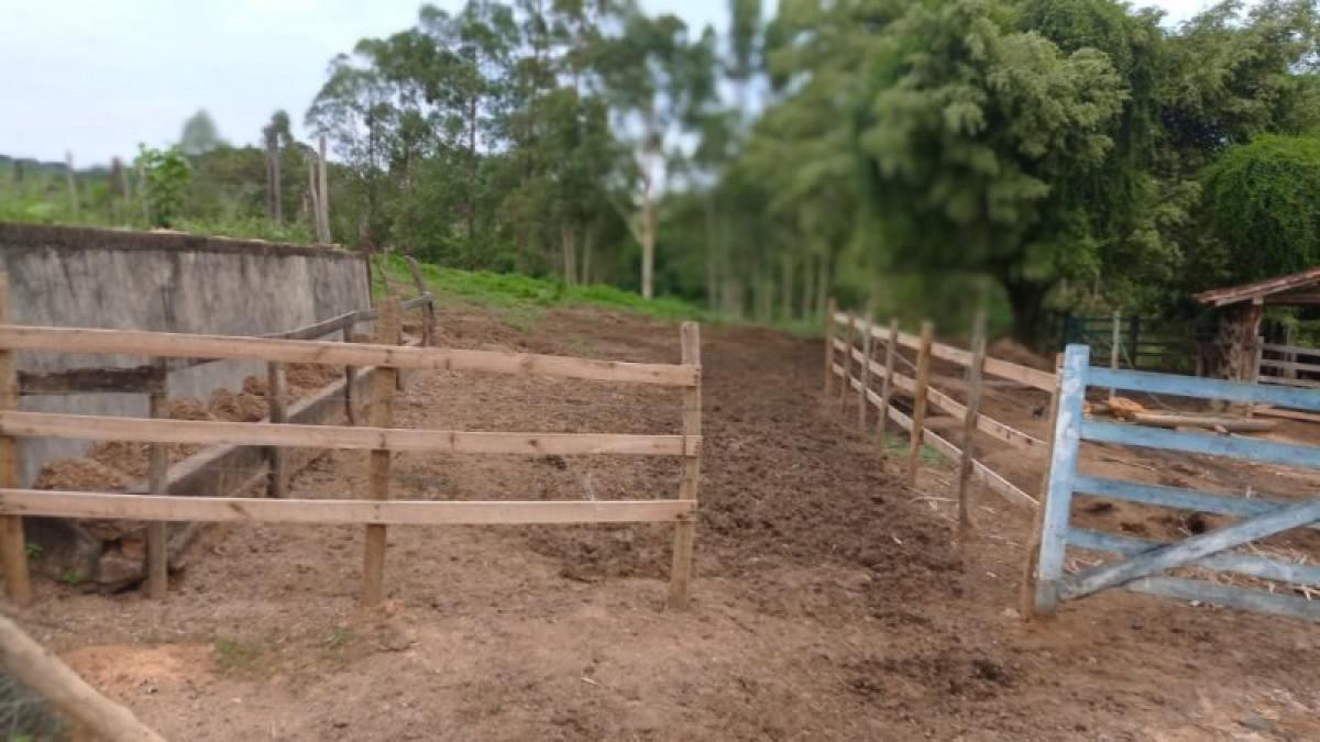 Fazenda, Centro, 6 Quartos, 3 Vagas