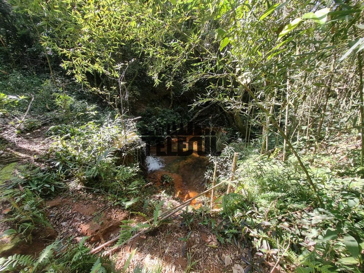 Fazenda, Zona Rural, 0 Quarto, 0 Vaga