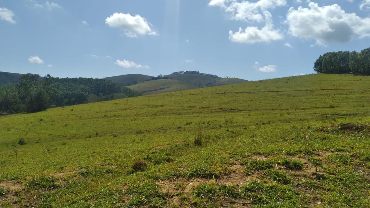 Fazenda, Centro, 0 Quarto, 0 Vaga