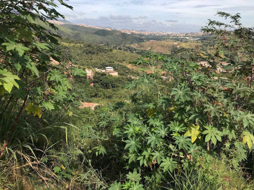 Lote, Vila Rica, 0 Quarto, 0 Vaga