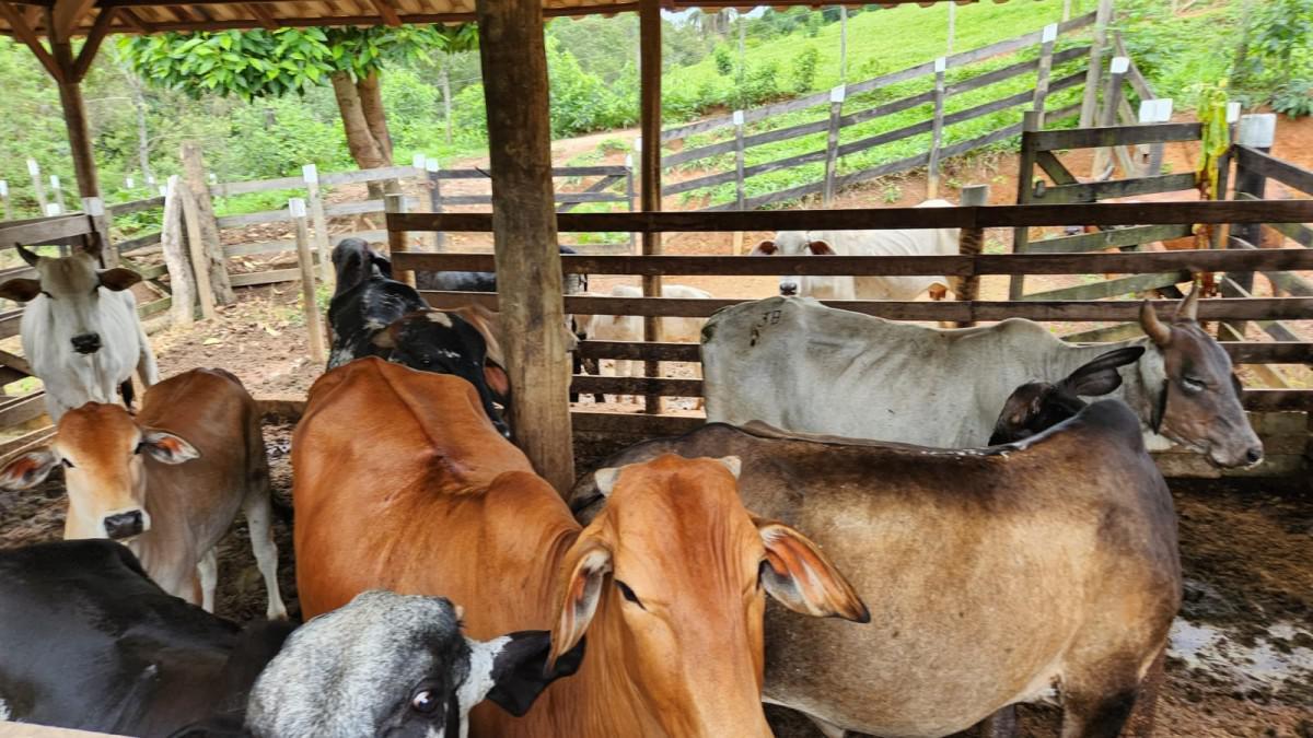 Fazenda, Zona Rural, 2 Quartos, 0 Vaga, 1 Suíte