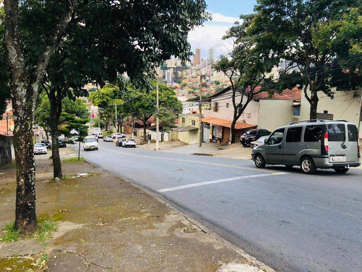 Lote, Palmeiras