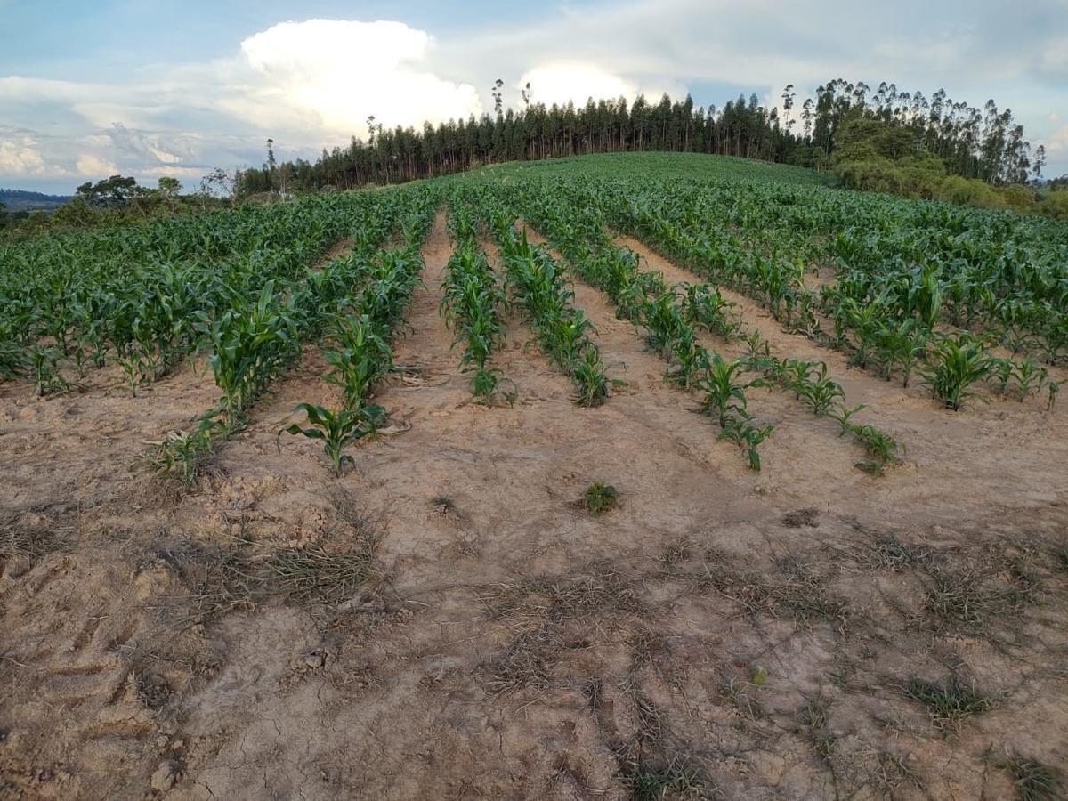 Fazenda, Zona Rural, 4 Quartos, 2 Vagas