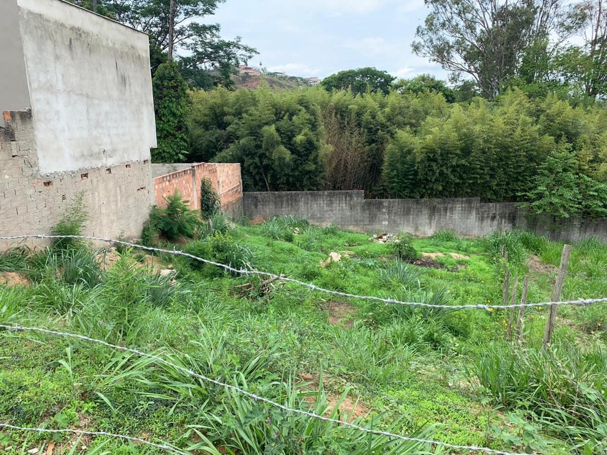 Lote, Jardim Vitória, 0 Quarto, 0 Vaga