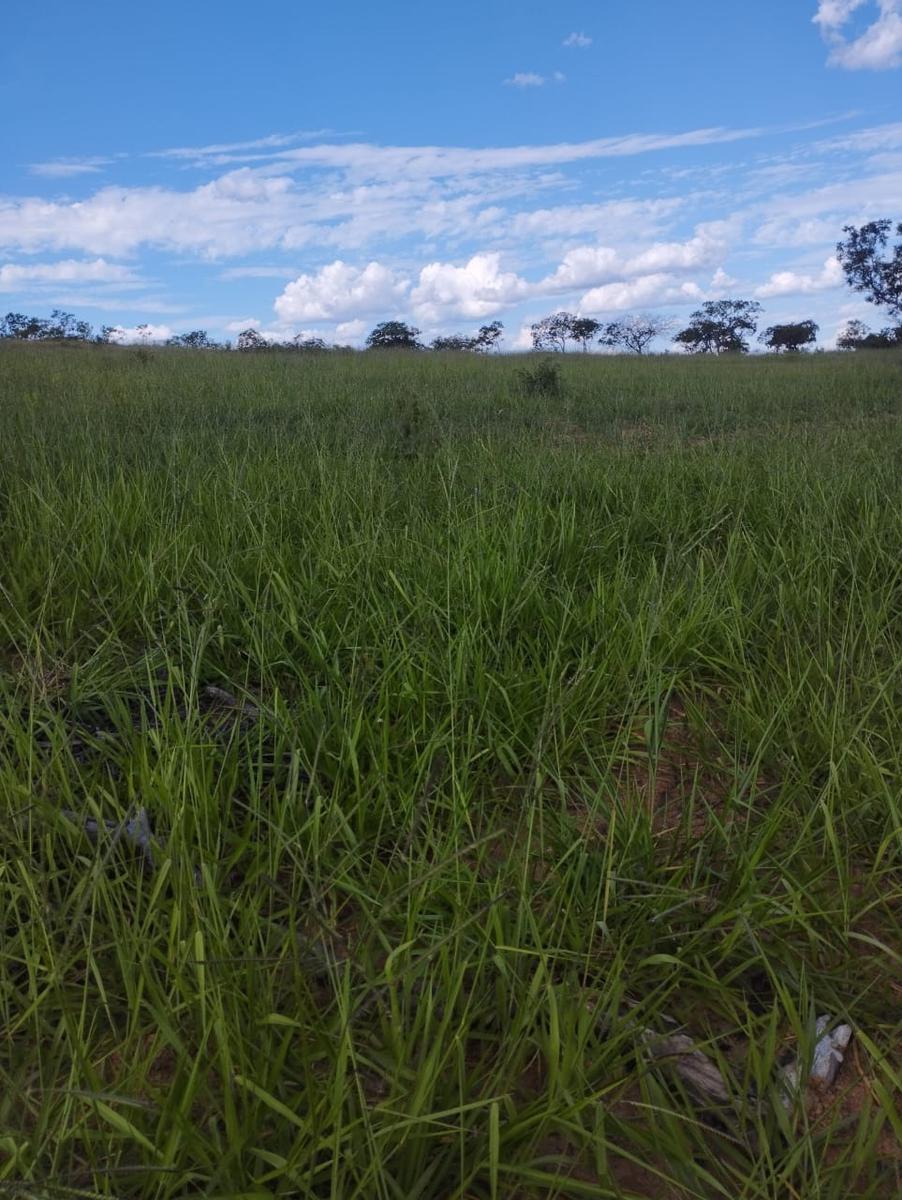 Fazenda, Zona Rural, 3 Quartos, 0 Vaga