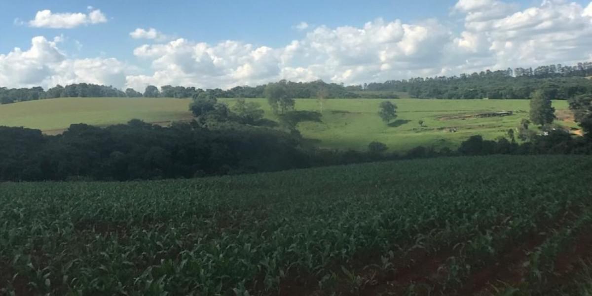 Fazenda, Zona Rural, 2 Quartos, 0 Vaga