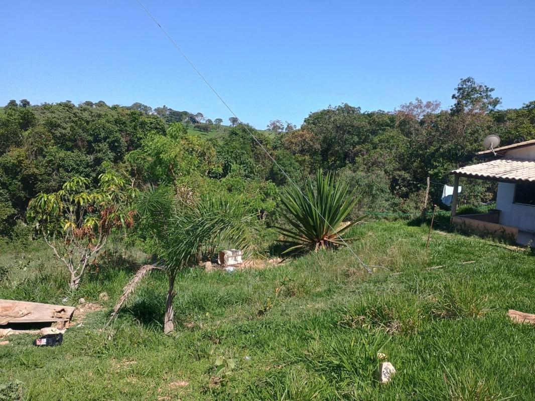 Fazenda, Centro, 0 Quarto, 0 Vaga