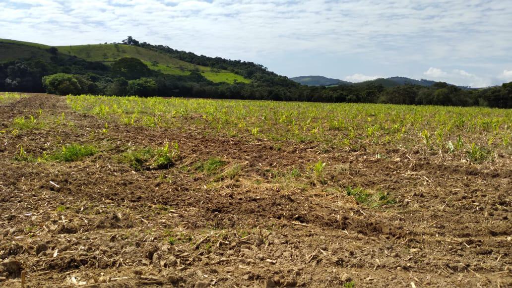 Fazenda, Dos Campos, 3 Quartos, 5 Vagas