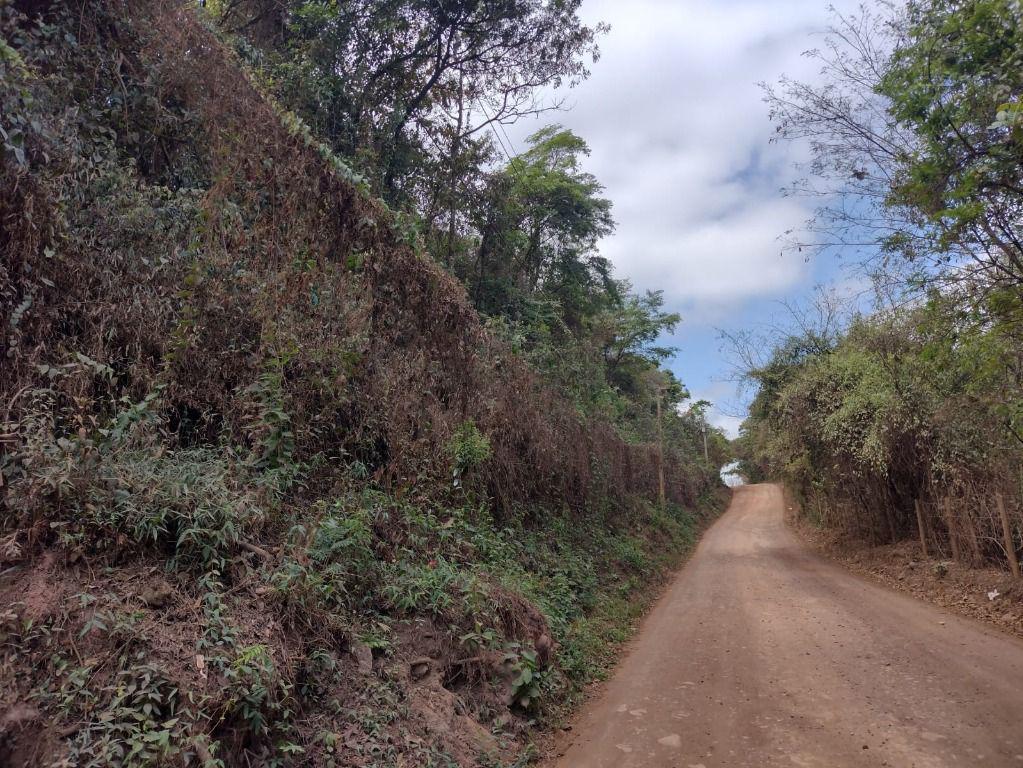 Lote, Pedra Branca, 0 Quarto, 0 Vaga