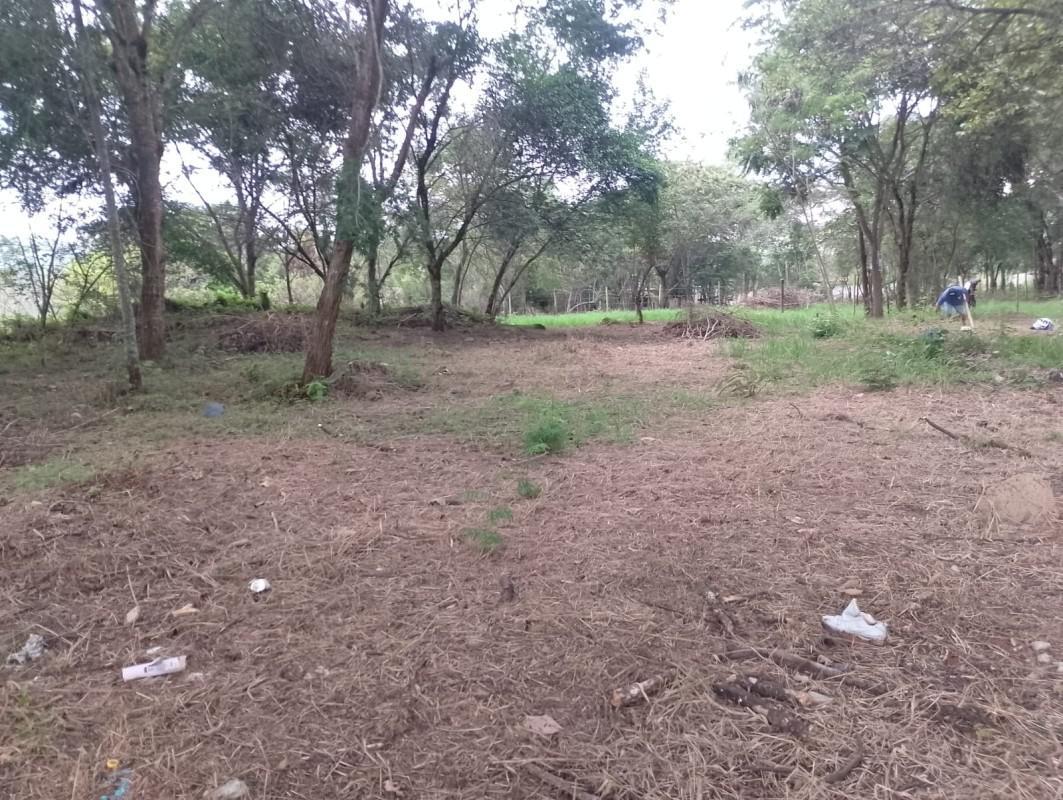 Fazenda, Vale Verde, 0 Quarto, 0 Vaga