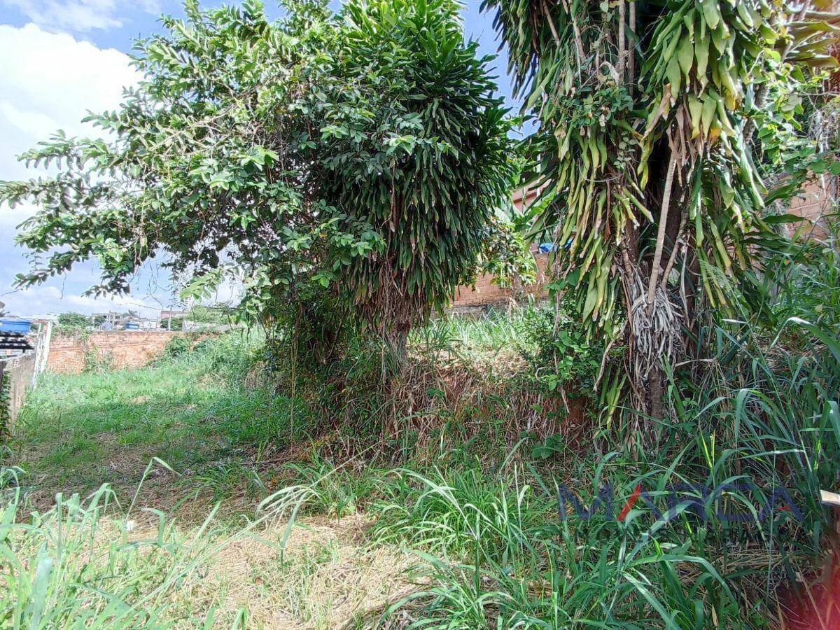 Lote, Santa Cruz, 0 Quarto, 0 Vaga