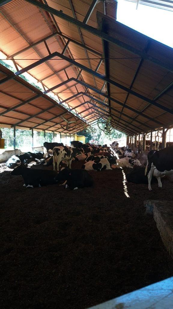 Fazenda, Zona Rural, 5 Quartos, 8 Vagas, 4 Suítes