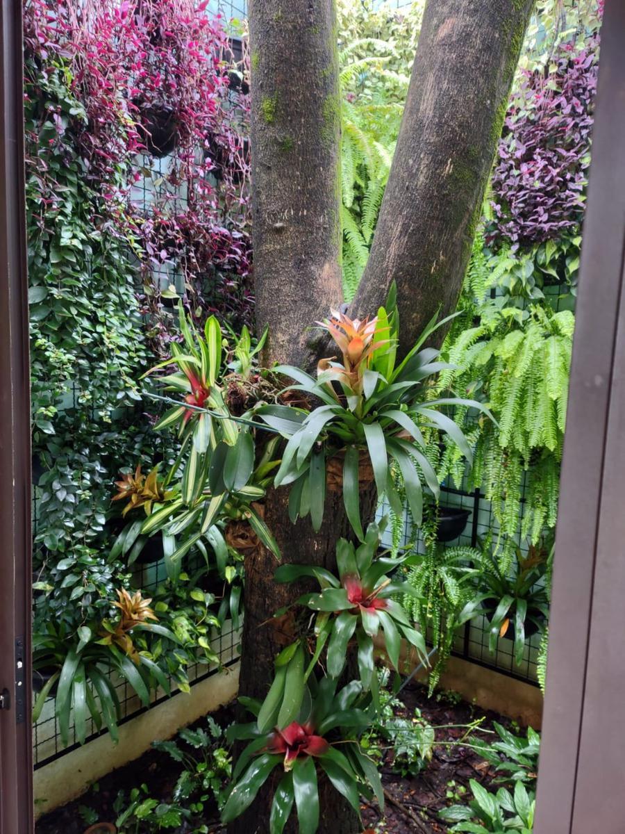 Lote, Enseada das Garças