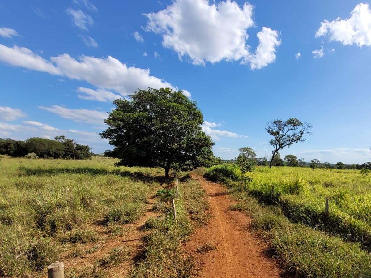 Fazenda, Centro, 0 Quarto, 0 Vaga, 1 Suíte