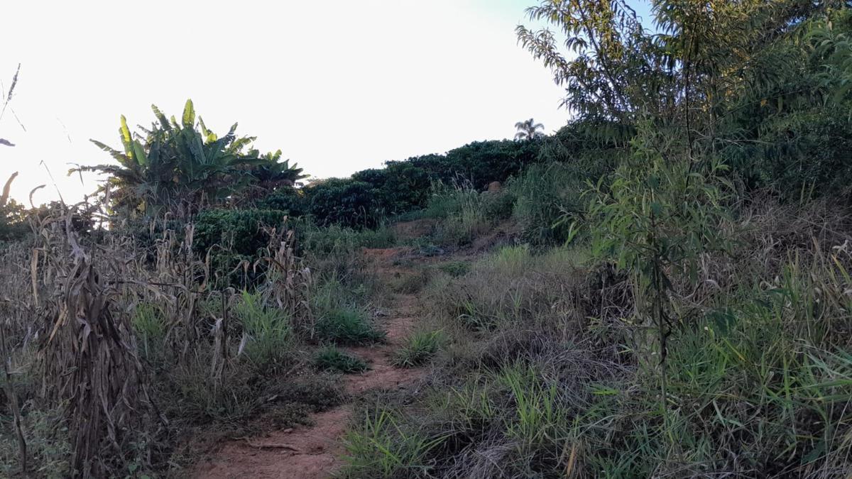 Fazenda, Zona Rural, 0 Quarto, 0 Vaga