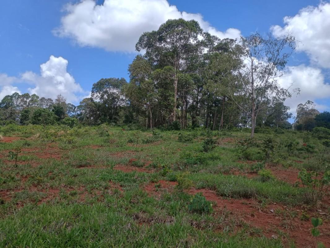 Fazenda, Zona Rural, 0 Quarto, 0 Vaga