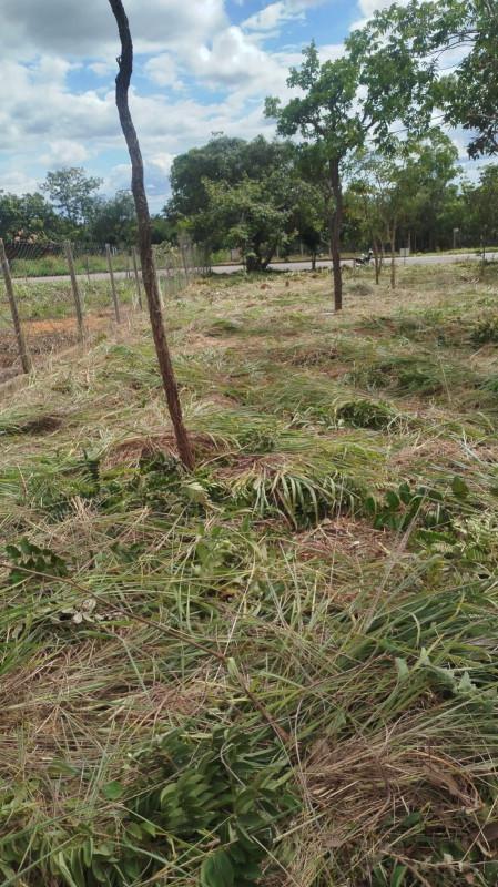 Lote, Zona Rural, 0 Quarto, 0 Vaga