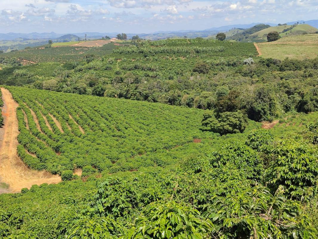 Fazenda, Zona Rural, 0 Quarto, 0 Vaga